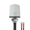 Proxicast Pro-Grade 2x2 MIMO 4G/5G Vandal Resistant Low-Profile Through-Hole Mount Omni-Directional Antenna, Color: White, Cable Length: 2 ft